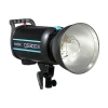 فلاش تک شاخه گودکس مدل QS300II
