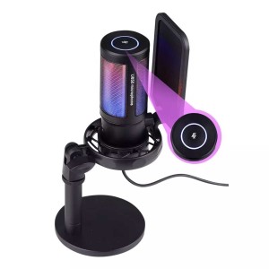 میکروفون استودیویی مدل U850 RGB