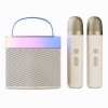 اسپیکر قابل حمل بلوتوثی فیلیپس مدل TAS2519 RGB