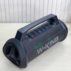 اسپیکر بلوتوثی دبلیو کینگ مدل D10