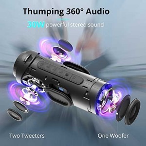 اسپیکر بلوتوثی دبلیو کینگ مدل D10