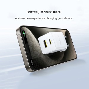 شارژر دیواری Type-C و USB باسئوس مدل CCZC20UE