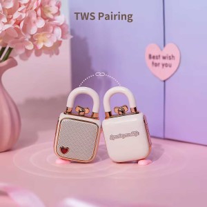 مینی اسپیکر بلوتوثی قابل حمل شارژی دیووم مدل LOVE LOCK