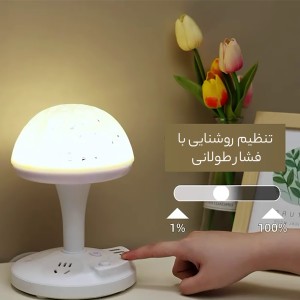 چند راهی برق و چراغ خواب رومیزی مدل 191034
