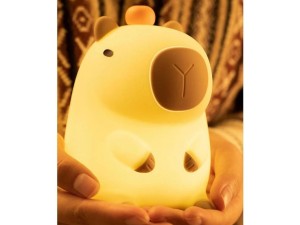 چراغ خواب رومیزی سیلیکونی شارژی مدل DSCPBR01