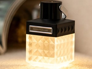 چراغ کمپینگ و پاور بانک شارژی ضدآب مدل Light 390