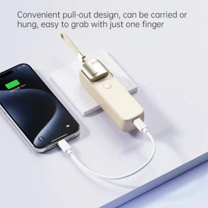 پاوربانک راک مدل RWC8890 ظرفیت 5000 میلی آمپر ساعت