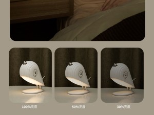 چراغ خواب رومیزی شارژی فانتزی رانمی مدل LJC208