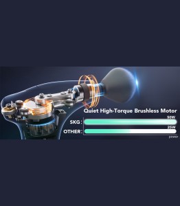 ماساژور تفنگی اس‌کی‌جی مدل FS700