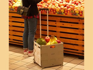 چرخ خرید دستی بزرگ تاشو 55 لیتری شیائومی مدل TNSNX02