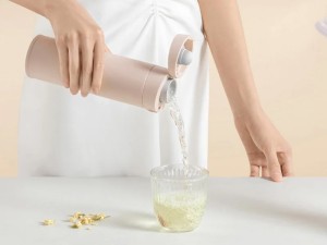 فلاسک شیائومی مدل MJTGB01PL