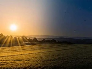 چراغ مطالعه رومیزی میجیا شیائومی مدل MJTD05YL
