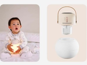 چراغ خواب و حشره کش شارژی قابل حمل سوتینگ مدل DSHJS2123