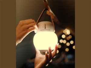 چراغ خواب و حشره کش شارژی قابل حمل سوتینگ مدل DSHJS2123