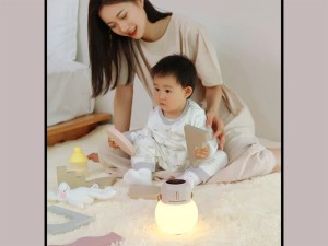 چراغ خواب و حشره کش شارژی قابل حمل سوتینگ مدل DSHJS2123