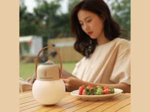 چراغ خواب و حشره کش شارژی قابل حمل سوتینگ مدل DSHJS2123