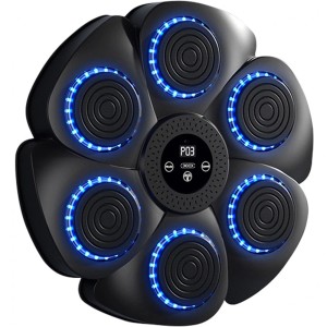 کیسه بوکس دیواری موزیکال هوشمند ایکس‌او مدل SF02