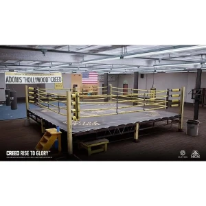 بازی PlayStation VR Creed Rise to Glory برای PS4