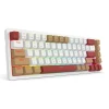 کیبورد بی سیم مکانیکال گیمینگ ردراگون مدل Rammus K677 WLR Pro