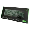 کیبورد گیمینگ باسیم ریزر مدل Blackwidow Essential Green Switch